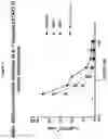 Fig. 05 - Polynucleotides encoding, and method of making, a polypeptide comprising a VHH which binds interleukin-receptor (IL-7R)