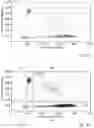 Fig. 02 - METHOD FOR DETERMINING THE ALLELE FREQUENCY/MUTATION RATE, AND DIAGNOSTICS