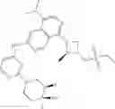 Fig. 428 - EGFR inhibitors