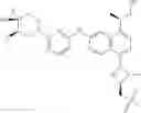 Fig. 438 - EGFR inhibitors
