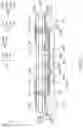 Fig. 03 - Semiconductor package structure including antenna