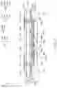 Fig. 04 - Semiconductor package structure including antenna