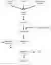 Fig. 01 - DEVICE FOR PRODUCING BIOMASS AND ITS DERIVATIVES