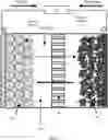 Fig. 02 - METAL NEGATIVE ELECTRODE, PREPARATION METHOD THEREFOR, AND SECONDARY BATTERY