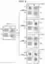 Fig. 07 - DOCUMENT PROCESSING DEVICE AND DOCUMENT PROCESSING METHOD