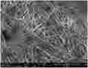 Fig. 01 - CELL CULTURE SUBSTRATE AND MANUFACTURING METHOD THEREFOR
