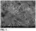 Fig. 02 - CELL CULTURE SUBSTRATE AND MANUFACTURING METHOD THEREFOR