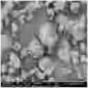 Fig. 01 - TURKEY COLLAGEN HYDROLYSATES AND METHODS OF MAKING