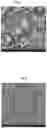 Fig. 02 - TURKEY COLLAGEN HYDROLYSATES AND METHODS OF MAKING