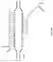 Fig. 33 - CAS9 VARIANTS AND USES THEREOF