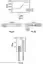 Fig. 08 - COMPOSITIONS AND METHODS FOR TUNABLE REGULATION OF TRANSCRIPTION