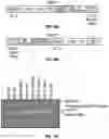 Fig. 09 - COMPOSITIONS AND METHODS FOR TUNABLE REGULATION OF TRANSCRIPTION