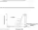 Fig. 01 - Nanosystems for controlled transport of active molecules for diagnostic, prognostic and therapeutic purposes