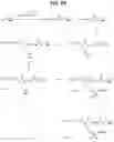 Fig. 07 - Nanosystems for controlled transport of active molecules for diagnostic, prognostic and therapeutic purposes