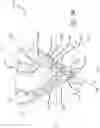 Fig. 30 - Multiple spinal surgical pathways systems and methods