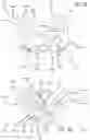 Fig. 33 - Multiple spinal surgical pathways systems and methods
