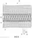 Fig. 06 - INDEPENDENTLY-ADDRESSABLE HIGH POWER SURFACE-EMITTING LASER ARRAY WITH TIGHT-PITCH PACKING