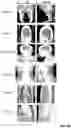Fig. 06 - Automatically detecting characteristics of a medical image series