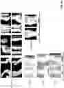 Fig. 07 - Automatically detecting characteristics of a medical image series