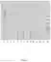 Fig. 06 - Virus and antigen purification and conjugation