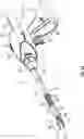 Fig. 02 - SURGICAL INSTRUMENTS HAVING A ROTATABLE BLADE MEMBER FOR TREATING TISSUE