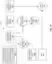 Fig. 30 - Systems and methods for facilitating supervision of individuals based on geofencing