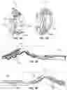Fig. 24 - BONE FIXATION DEVICES, SYSTEMS, AND METHODS