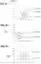 Fig. 09 - MANUFACTURING METHOD FOR DISPERSION BODY AND MANUFACTURING METHOD FOR CERAMIC FIRED BODY