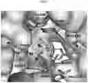 Fig. 04 - Pyrazole-containing macrophage migration inhibitory factor inhibitors