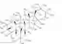 Fig. 02 - ISOTOPICALLY LABELED BILE ACID DERIVATIVES