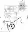 Fig. 02 - Differential illumination for corneal glint detection