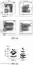 Fig. 02 - METHODS AND MATERIALS FOR ASSESSING AND TREATING CMV INFECTIONS