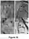Fig. 07 - USE OF H3K9me3 MODULATION FOR ENHANCING COGNITIVE FUNCTION