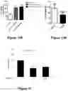 Fig. 09 - USE OF H3K9me3 MODULATION FOR ENHANCING COGNITIVE FUNCTION