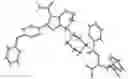 Fig. 01 - Crystalline form of (S)-7-(1-acryloylpiperidin-4-yl)-2-(4-phenoxyphenyl)-4,5,6,7-tetra-hydropyrazolo[1,5-a]pyrimidine-3-carboxamide, preparation, and uses thereof