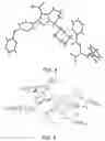 Fig. 08 - Crystalline form of (S)-7-(1-acryloylpiperidin-4-yl)-2-(4-phenoxyphenyl)-4,5,6,7-tetra-hydropyrazolo[1,5-a]pyrimidine-3-carboxamide, preparation, and uses thereof
