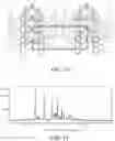 Fig. 09 - Crystalline form of (S)-7-(1-acryloylpiperidin-4-yl)-2-(4-phenoxyphenyl)-4,5,6,7-tetra-hydropyrazolo[1,5-a]pyrimidine-3-carboxamide, preparation, and uses thereof