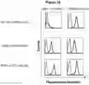 Fig. 02 - LONG LIFE POLYPEPTIDE BINDING MOLECULES