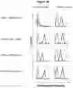 Fig. 03 - LONG LIFE POLYPEPTIDE BINDING MOLECULES