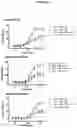 Fig. 08 - LONG LIFE POLYPEPTIDE BINDING MOLECULES