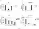 Fig. 08 - ANTITUMOR VIRUS