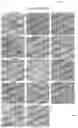 Fig. 06 - ARC-BASED CAPSIDS AND USES THEREOF