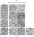 Fig. 07 - ARC-BASED CAPSIDS AND USES THEREOF