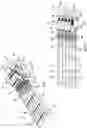 Fig. 02 - Guitar tuner