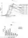 Fig. 02 - CHIMERIC ANTIGEN RECEPTOR TO CARBOHYDRATE ANTIGENS