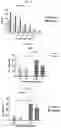 Fig. 03 - CHIMERIC ANTIGEN RECEPTOR TO CARBOHYDRATE ANTIGENS