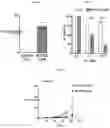 Fig. 07 - CHIMERIC ANTIGEN RECEPTOR TO CARBOHYDRATE ANTIGENS