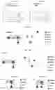 Fig. 09 - CHIMERIC ANTIGEN RECEPTOR TO CARBOHYDRATE ANTIGENS