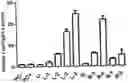 Fig. 01 - GENETICALLY MODIFIED IMMUNODEFICIENT NON-HUMAN ANIMAL WITH HUMAN OR CHIMERIC SIRPa/CD47