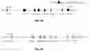 Fig. 04 - GENETICALLY MODIFIED IMMUNODEFICIENT NON-HUMAN ANIMAL WITH HUMAN OR CHIMERIC SIRPa/CD47